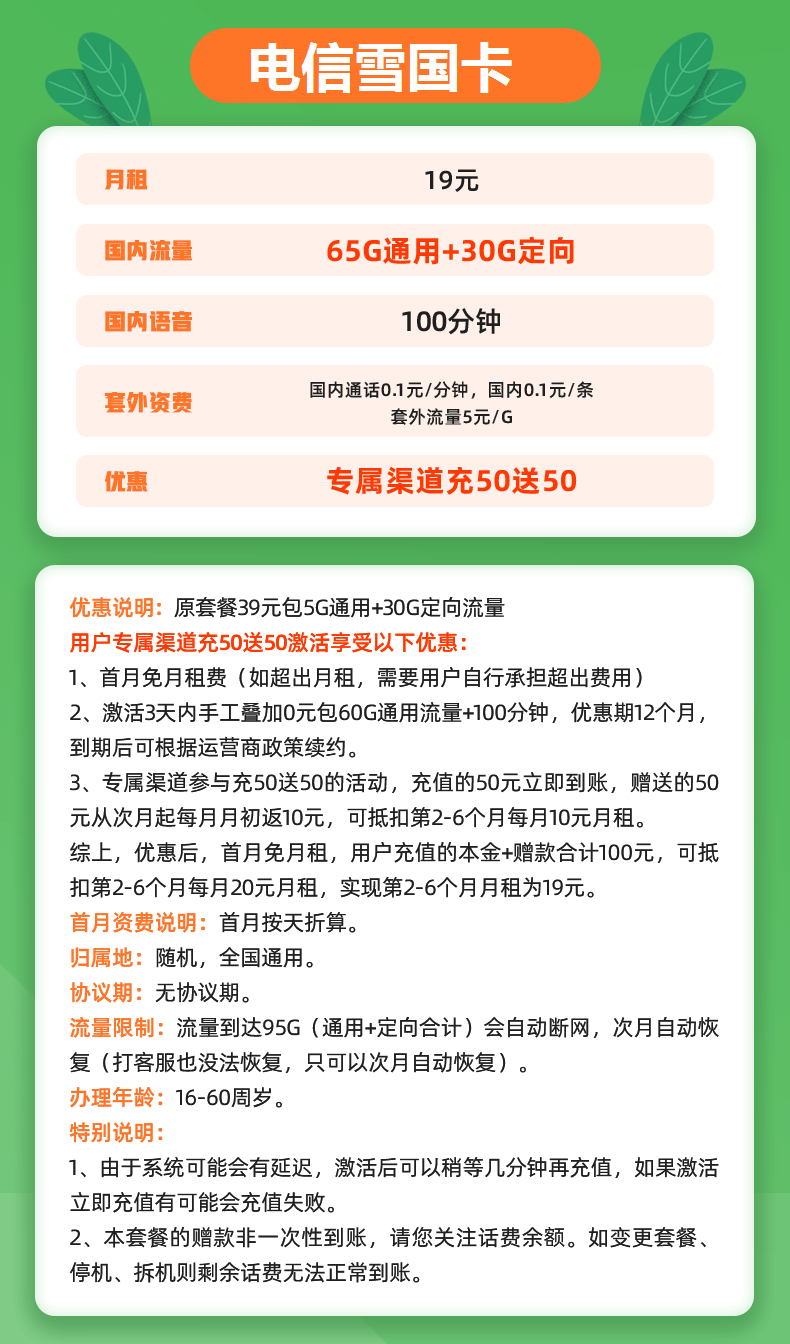 电信雪国卡 19元包65G通用流量+30G定向流量+100分钟通话-2