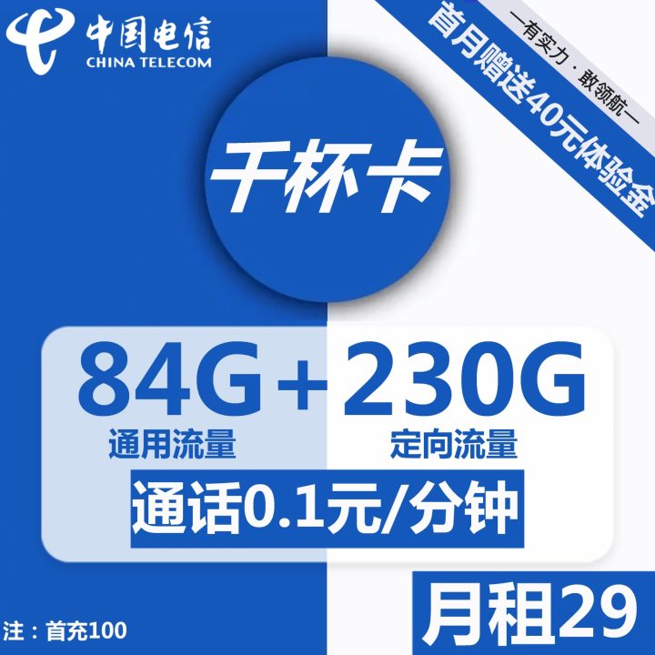 1071 | 电信千杯卡29元包84G通用流量+230G定向流量-1