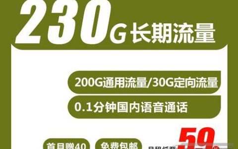 【电信东风卡】200g通用流量卡办理，每月59元