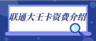 联通大王卡2.0上线最低月租19元/月