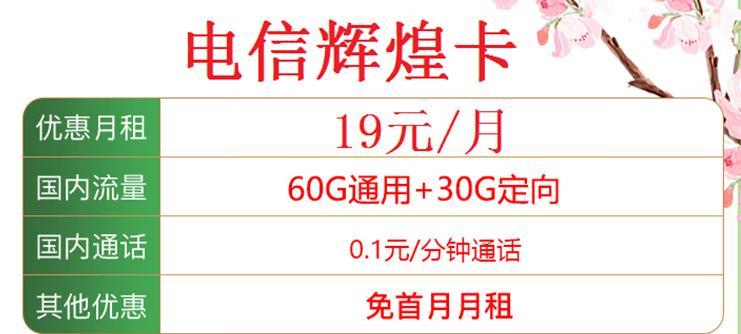 电信飞扬卡19元/月专属流量包，首月免月租