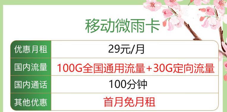 移动微雨卡月租29元/月30G定向流量+100分钟语音通话