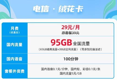 电信绒花卡 29元可享95G全国流量+100分钟通话