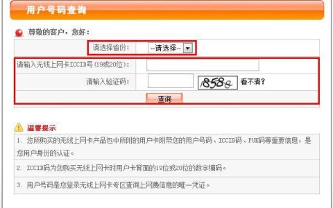 电信卡iccid查询网站推荐，查询手机号码快速便捷