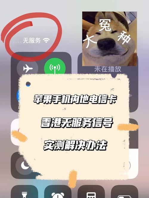 电信卡突然无服务了？教你几招解决办法