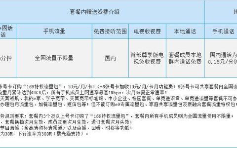 电信169套餐详细介绍，流量、通话、副卡、省钱技巧