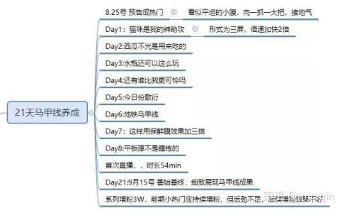 抖音号自助购买：优势、劣势及注意事项