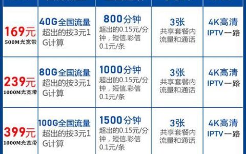 电信199套餐：性价比之王，满足你全方位通信需求