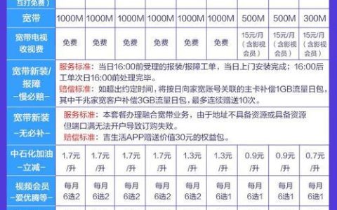 移动花卡办理费用介绍：套餐选择及资费标准解析