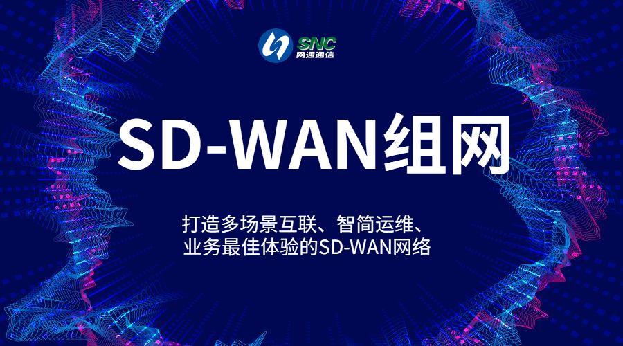 SD-WAN运营商：助力企业构建灵活、可靠的广域网