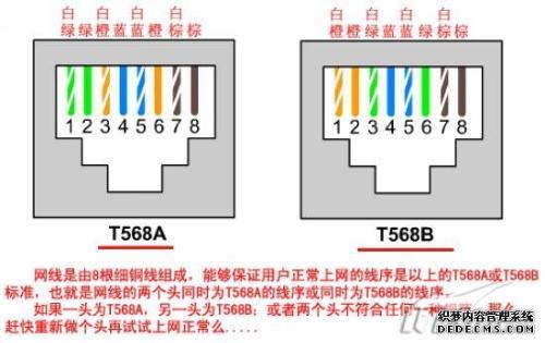 传输最快的网线：如何选择适合您的网线？