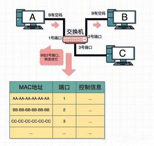 联通宽带接口：种类及选择指南