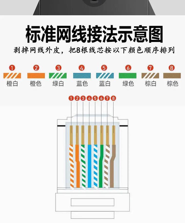 双公头网线：用途、制作方法及注意事项