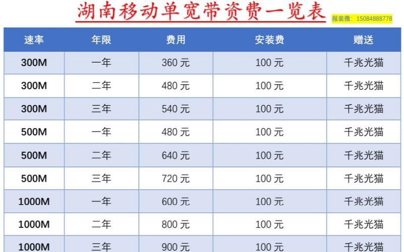 300M宽带每月多少钱？不同地区价格差异大